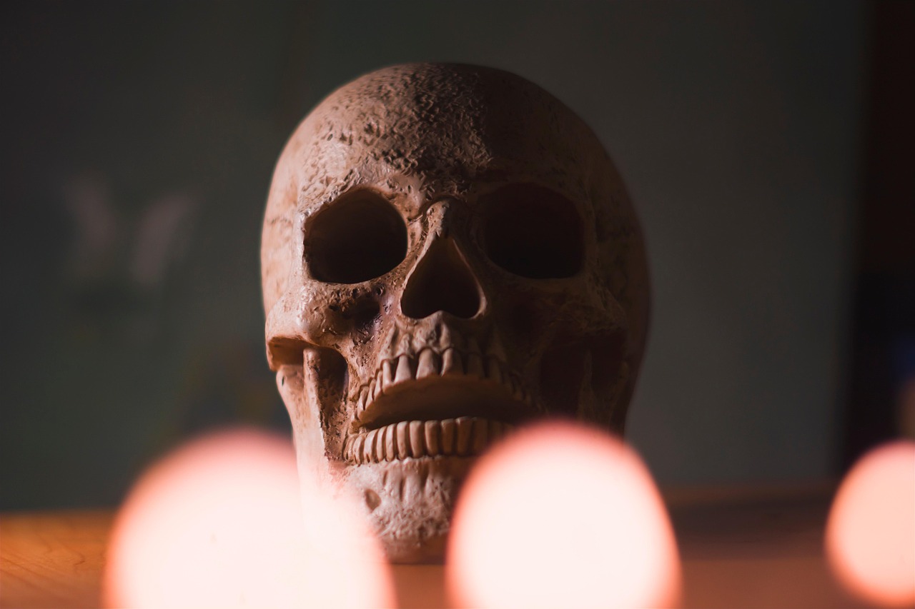 A skull in warm low light, surrounded by out-of-focus lamps